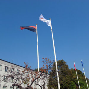 ArcelorMittal Warszawa Flagi 2